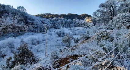 Suspenden clases en escuelas de Guanajuato por las nevadas