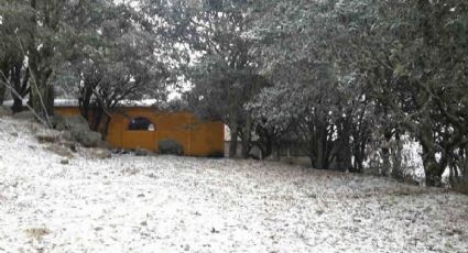 Cae nieve esta noche en la Sierra de Guanajuato capital