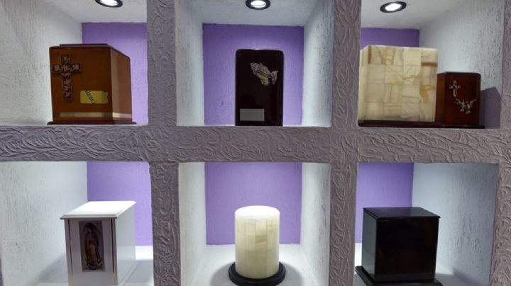 ¿De qué murieron los mexicanos en los primeros 6 meses de 2024?