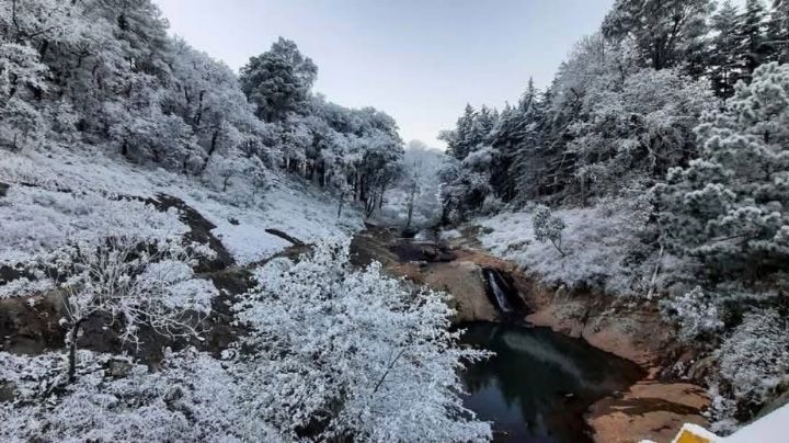 Los paisajes que dejó la nieve en los municipios de Guanajuato