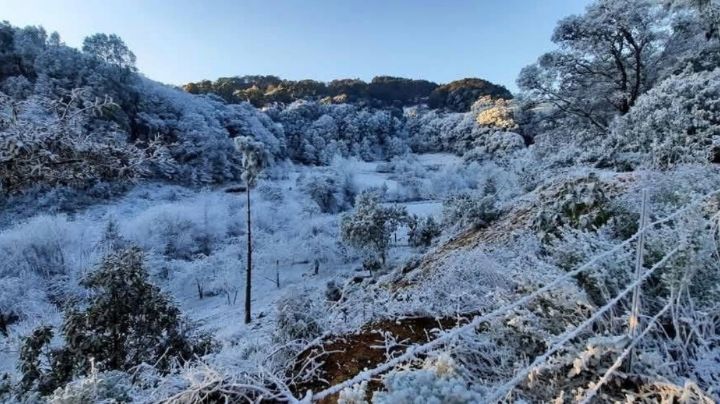Suspenden clases en escuelas de Guanajuato por las nevadas