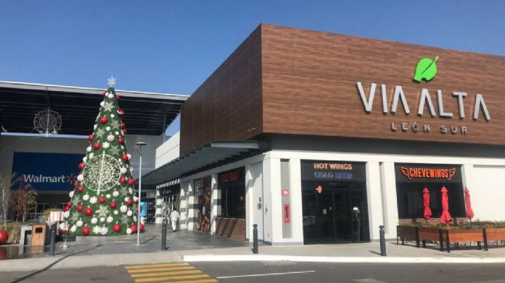 ¿Quién es el dueño del centro comercial Vía Alta en León?