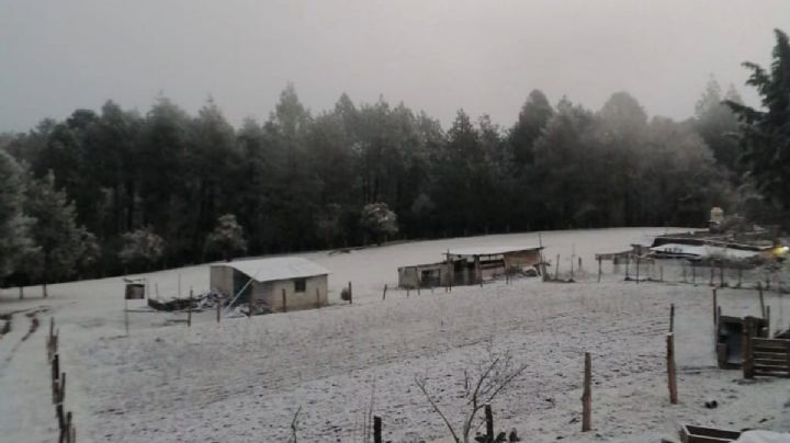 ¿Cuáles son los municipios con las temperaturas más bajas en Hidalgo? I Fotos