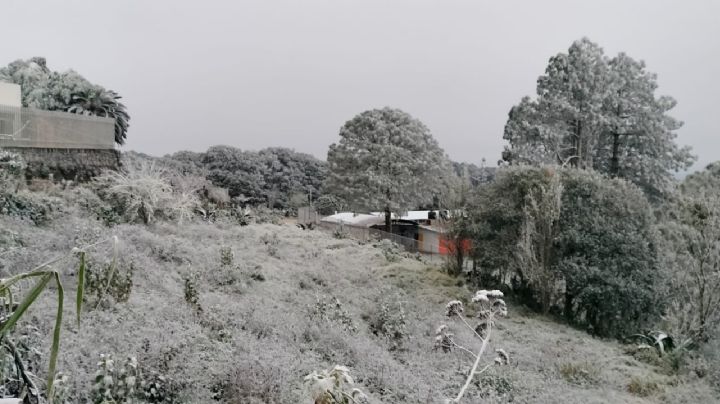Rescatan a cuatro mujeres y dos niños varados por la nieve en la sierra de Chihuahua