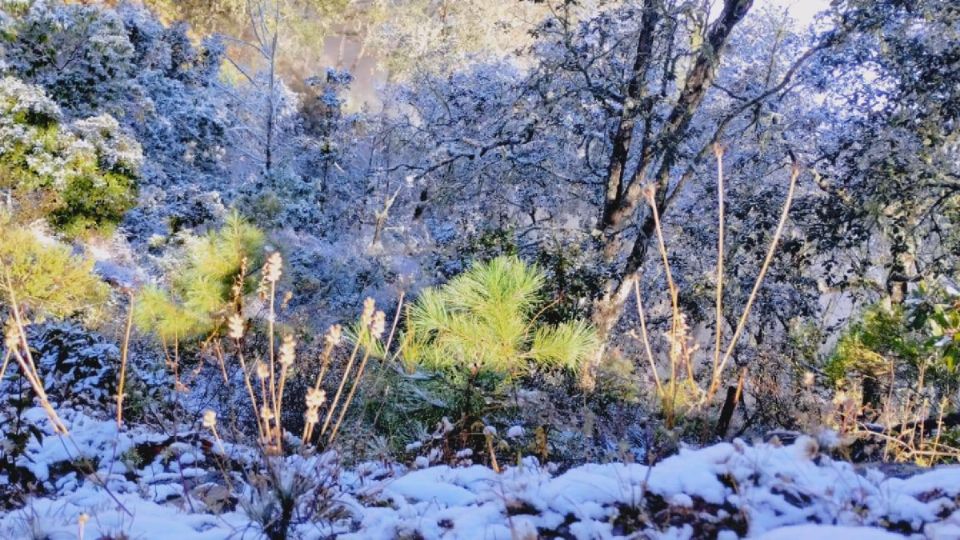 La nevada en Xichú.