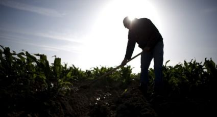 Con deportaciones de migrantes, ¿quién le dará de comer a EU?