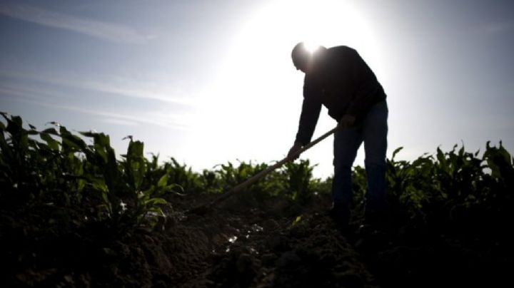 Con deportaciones de migrantes, ¿quién le dará de comer a EU?