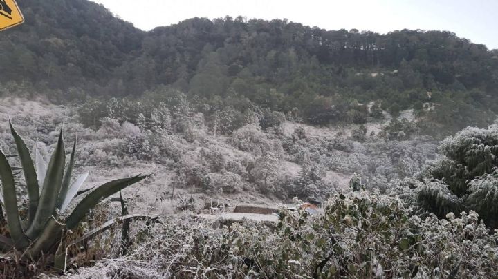 ¿Cuáles serán los municipios de Hidalgo más fríos este viernes 24 de enero?