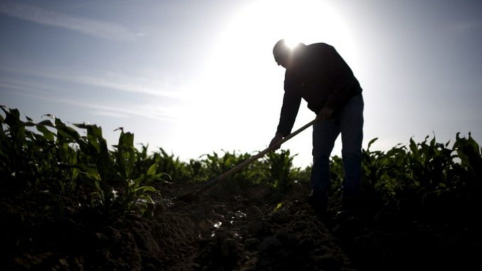 Los trabajadores con visa H-2 tienen tan poco poder de negociación que algunos empleadores prefieren contratarlos en lugar de ciudadanos estadounidenses