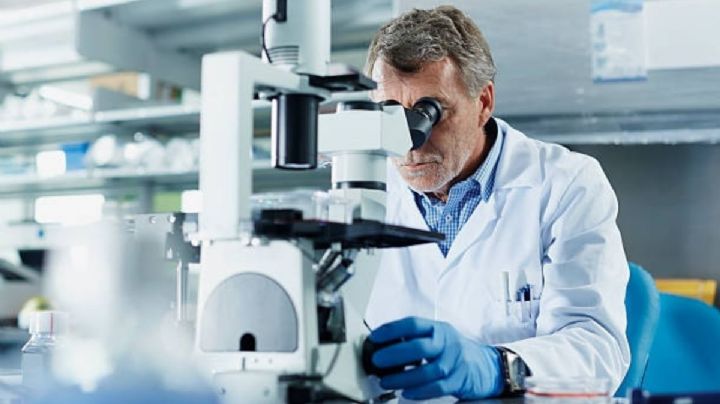 México se perfila como líder en investigación clínica: Economía