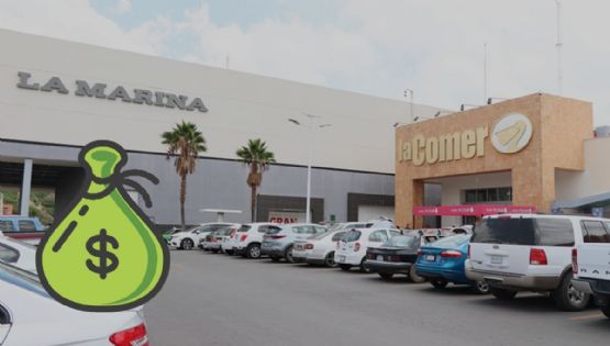 ¿Quién es el dueño de la plaza comercial Pozuelos en Guanajuato?