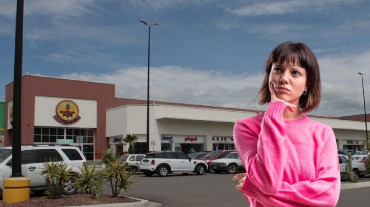 ¿Quién es el dueño de la Plaza Universidad en Hidalgo?