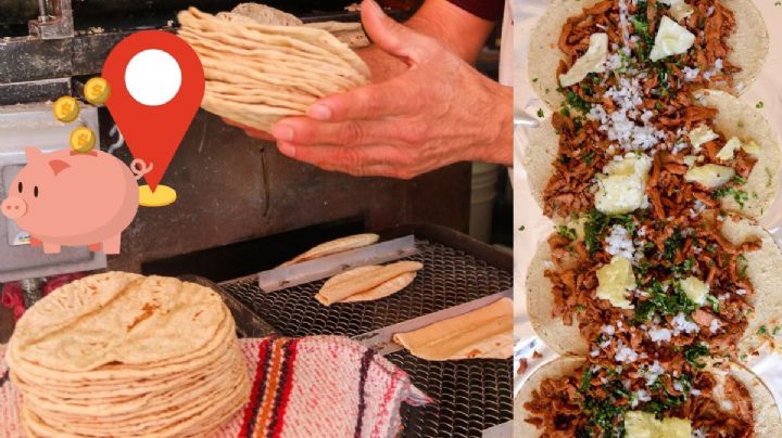 Las 3 tortillerías en el Centro de Veracruz más baratas del país