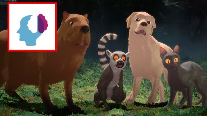 ¿Por qué la película "Flow" es un éxito de taquilla en México? Esto dice la psicología