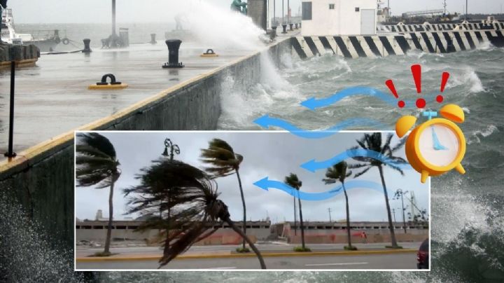 Norte de 85 km/h en Veracruz: día y hora en que azotará con ingreso del frente frío 25