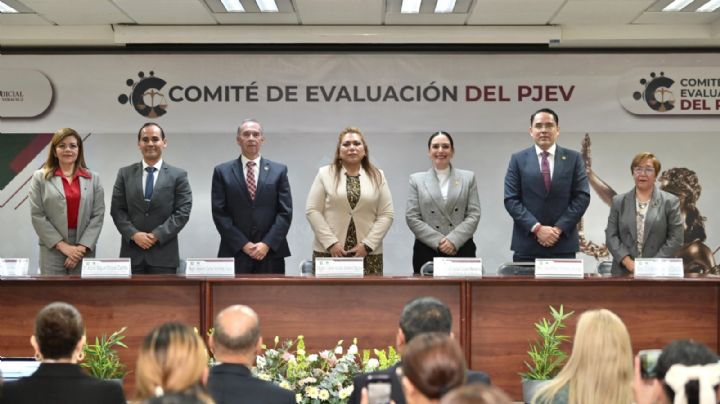 Ellos son los miembros del Comité de Evaluación para elección judicial en Veracruz