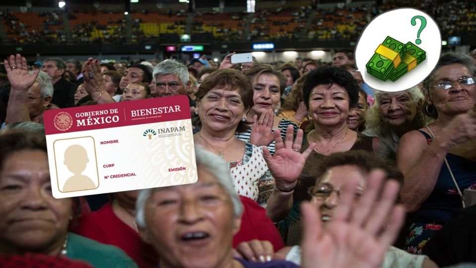 El Instituto Nacional de las Personas Adultas Mayores (INAPAM) ha implementado el programa de Vinculación Productiva.