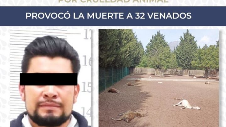 Ricardo mató a 32 venados en venganza por haber sido despedido en Puebla