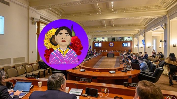 Corte Interamericana de Derechos Humanos juzgará al Estado Mexicano por el caso de Ernestina Ascencio