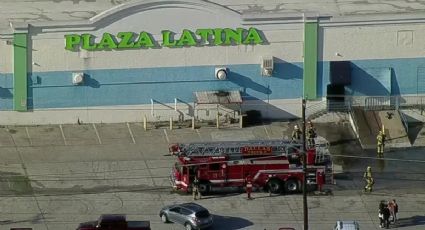 579 animales de una tienda de mascotas murieron en un incendio en Dallas, Texas