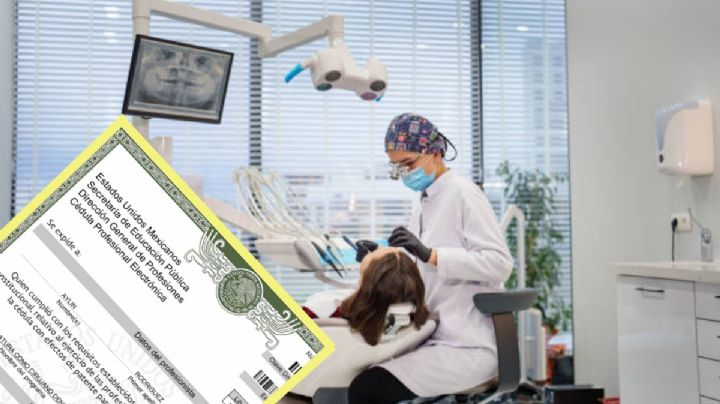 Trabajo en México: ¿Qué pasa si trabajas sin cédula profesional? Esto sabemos