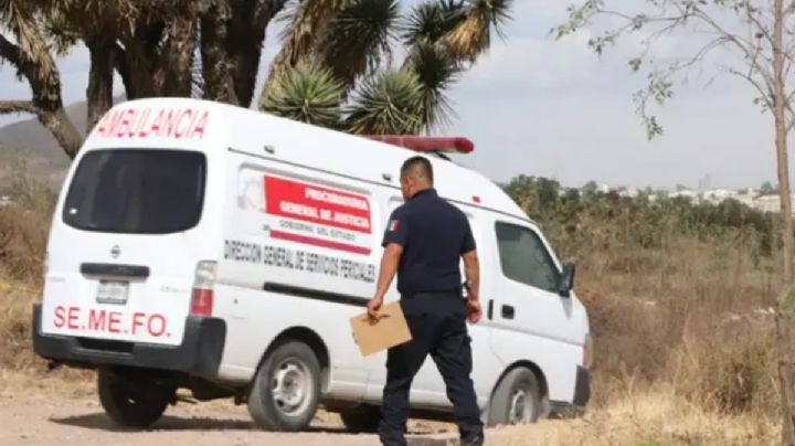 Hombre muere en Hidalgo y su perro no se separa del cuerpo