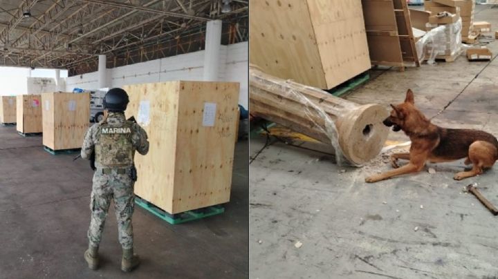Hallan más de 500 kg de marihuana y semillas de cannabis en Recinto Portuario de Veracruz