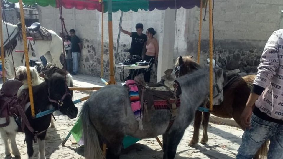 Maltrato animal en Puebla: Carrusel de ponis en feria de Cuautinchán