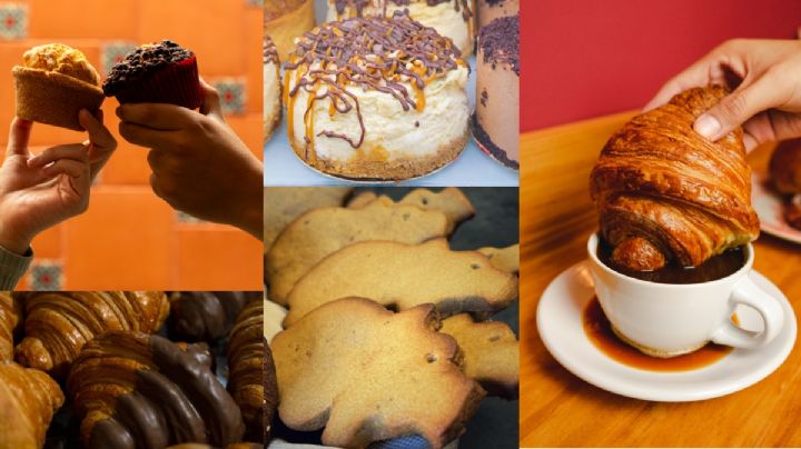 ¿Antojo de pan? Estas son las panaderías más populares en Pachuca