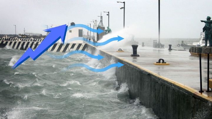 Norte en Veracruz por el frente frío 25: las rachas máximas hoy 31 de enero