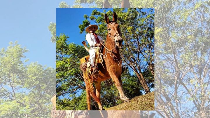 Vaquero llega a Veracruz cabalgando desde Texas; busca llegar a Brasil a caballo