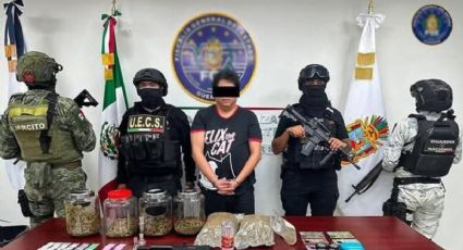 Localizan centro de almacenamiento de droga en casa de Acapulco