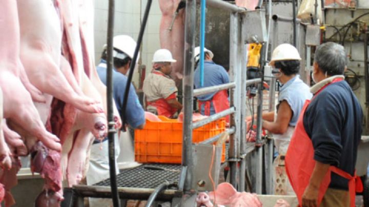 Alcalde de Pachuca confirma demanda penal contra concesionaria del rastro