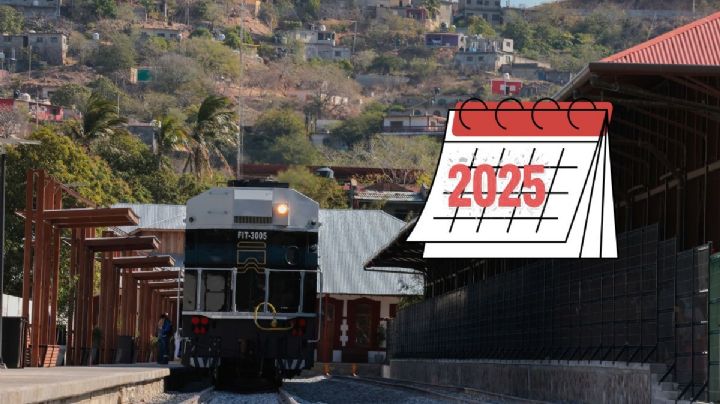 Tren Interoceánico: Estos son los viajes de enero desde Veracruz a Chiapas y Oaxaca