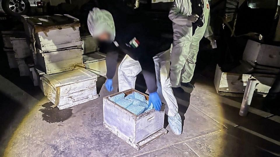 Fuerzas federales aseguran pastillas de fentanilo en Sinaloa