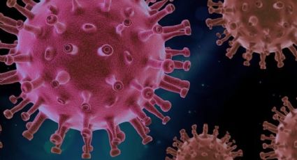 Sinaloa y Nuevo León confirman 152 casos de metapneumovirus; Salud federal niega contagios