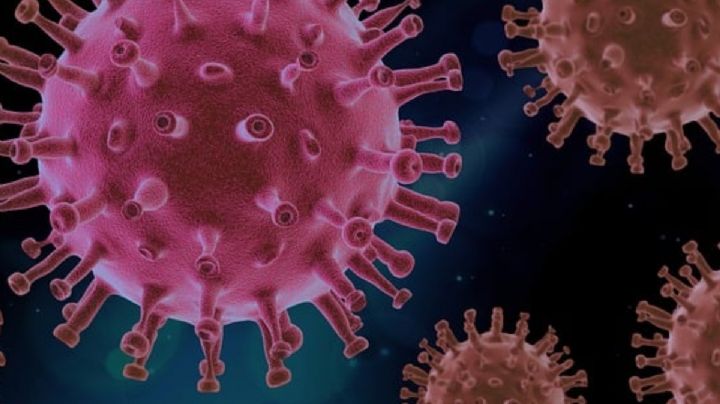 Sinaloa y Nuevo León confirman 152 casos de metapneumovirus; Salud federal niega contagios