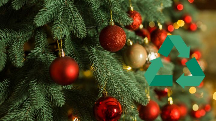 Se acabó la Navidad; te decimos qué hacer con el arbolito