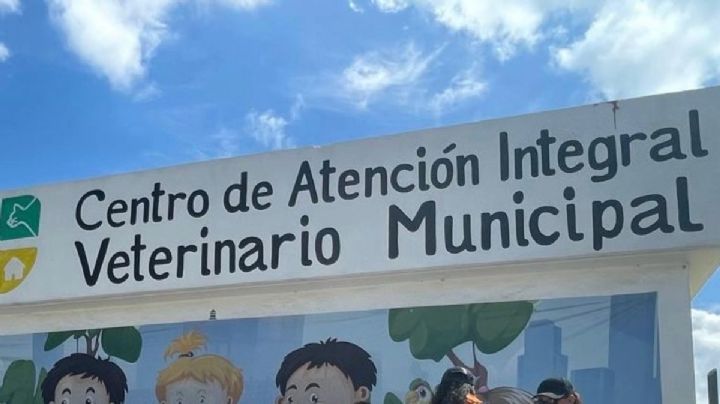 Estas son las nuevas tarifas por los servicios del Centro Veterinario Municipal