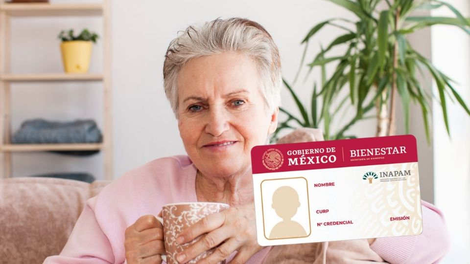 Las y los adultos mayores de  Guanajuato deben saber los requisitos para tramitar la credencial del INAPAM.