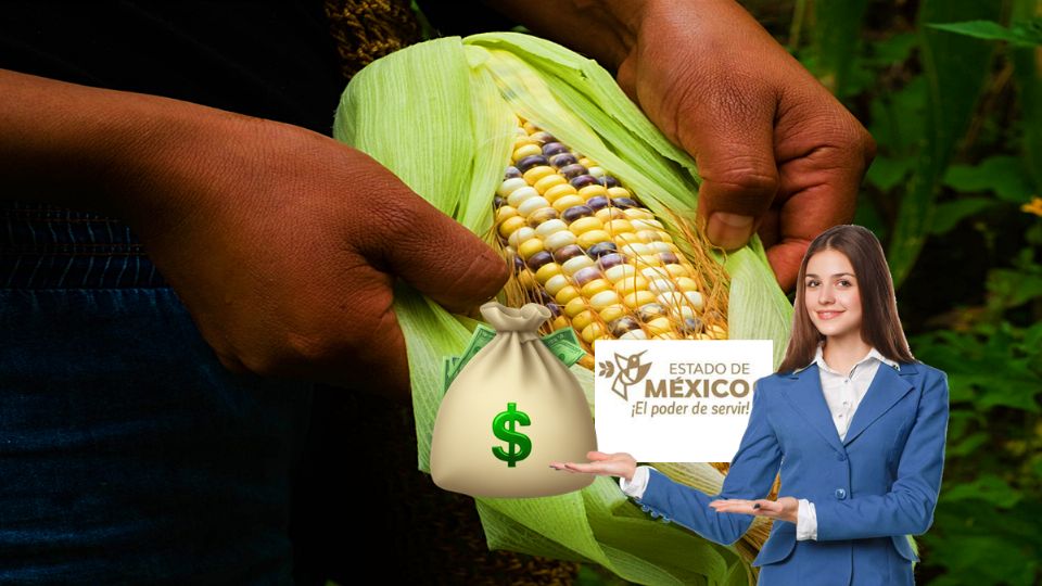 Es el Apoyo Complementario al Precio de Garantía del Maíz Blanco para beneficiar a campesinos mexiquenses