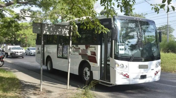 18 conductores de transporte público dan positivo en antidoping en Tabasco; tienen oportunidad de rehabilitación