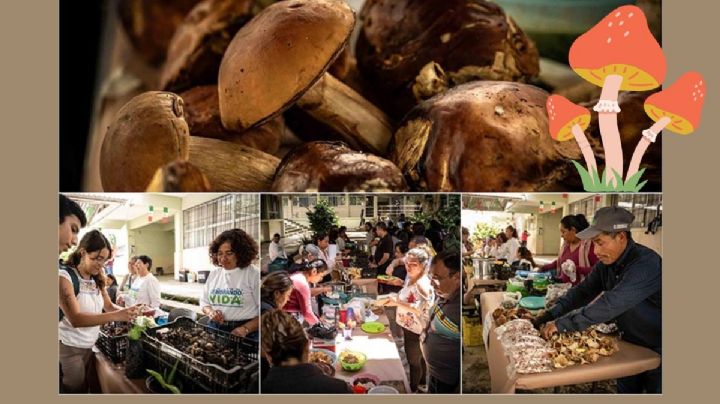 Agricultores trajeron hongos y productos naturales a la UV