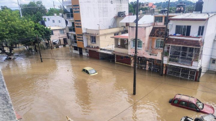 Desastres naturales y contratos