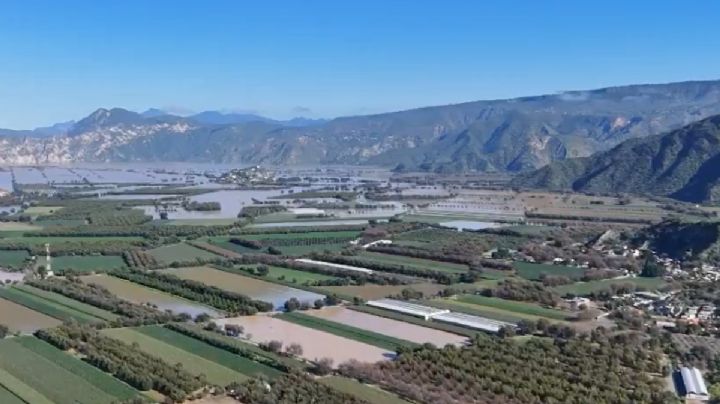 Se pierden cerca de 6,000 hectáreas de cultivo en Metztitlán por inundaciones | FOTOS