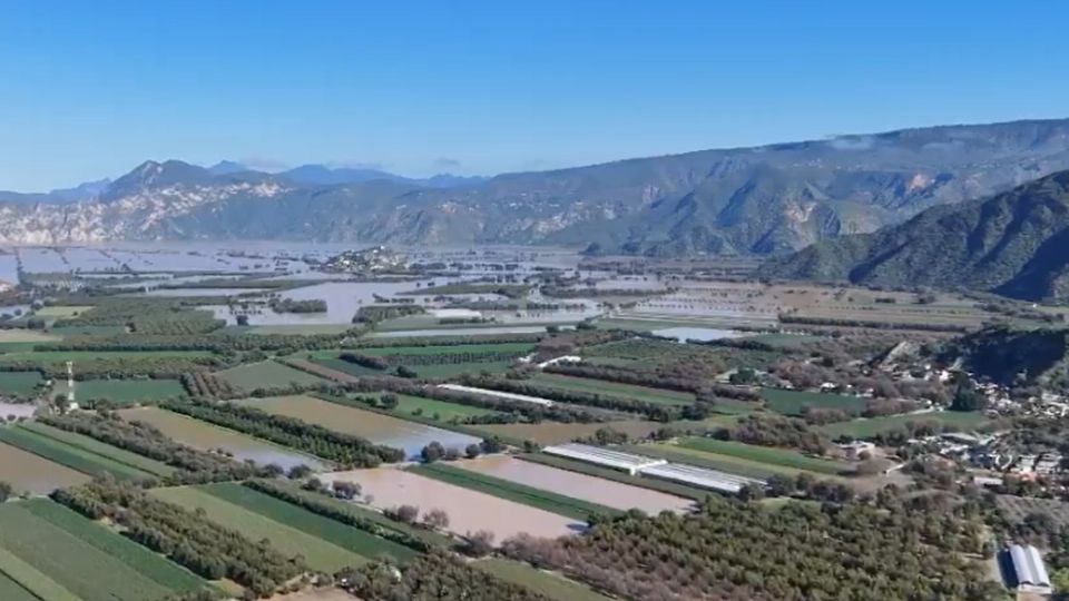 Entre los cultivos que se perdieron están maíz, frijol, hortalizas y otros productos de consumo regional