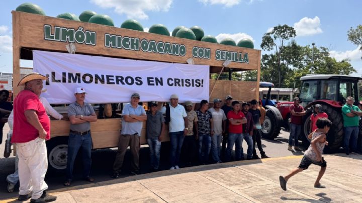 Campesinos de 17 estados buscan respuesta del Gobierno por crisis del maíz y otros granos