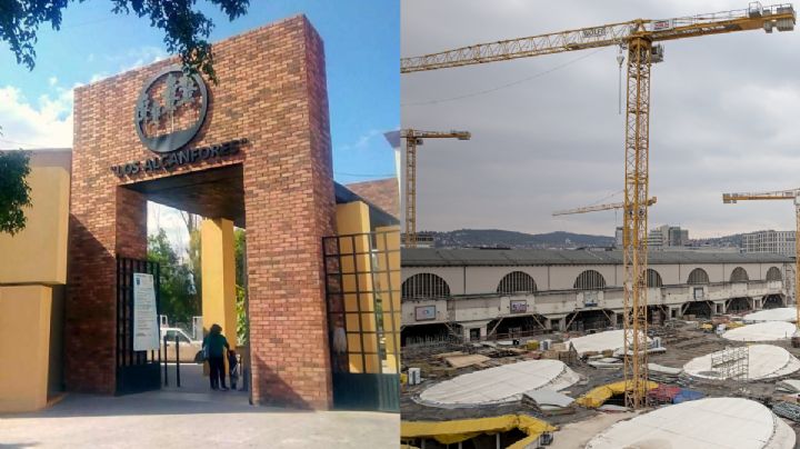 Parque de los Alcanfores y Stuttgart 21