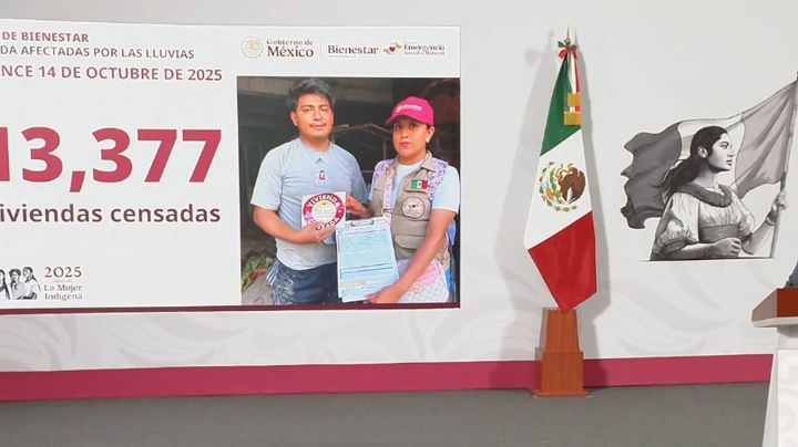 Más de 100 mil viviendas podrían haber resultado afectadas por las lluvias: Bienestar