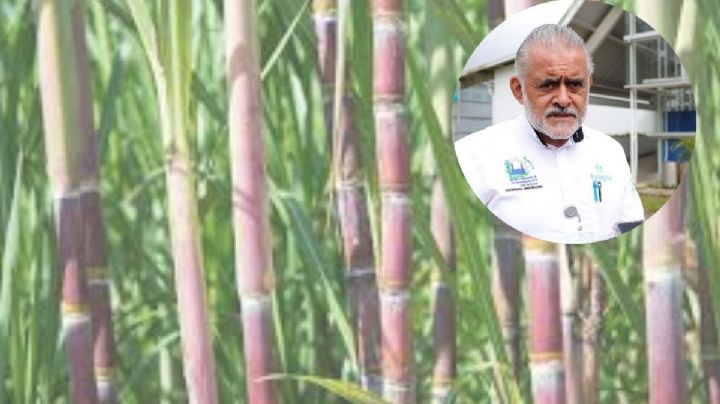 Posgrado UV contribuye al desarrollo sostenible de la agroindustria cañera
